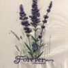 IMG_2111 FOREVER